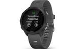Смарт-часы Garmin Forerunner 245, Black/Slate (010-02120-10)