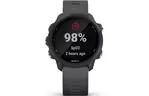 Смарт-часы Garmin Forerunner 245, Black/Slate (010-02120-10)