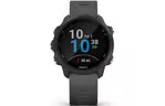 Смарт-часы Garmin Forerunner 245, Black/Slate (010-02120-10)