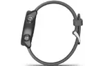Смарт-часы Garmin Forerunner 245, Black/Slate (010-02120-10)