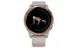 Смарт-часы Garmin Venu, Light Sand/Rose Gold (010-02173-23)