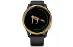 Смарт-часы Garmin Venu, Black/Gold, GPS navy (010-02173-33)