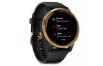 Смарт-часы Garmin Venu, Black/Gold, GPS navy (010-02173-33)