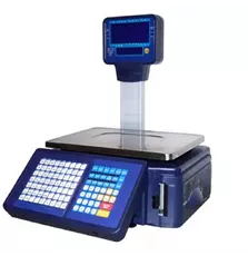 Весы КЗВО ВТНЕ-ПРИНТ-15Н2-1 (KZVO-01566)