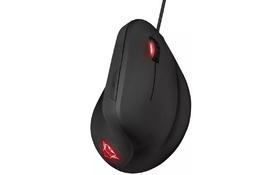 Trust GXT144 REXX ERGONOMIC BLACK - Фото