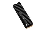 Накопитель SSD M.2 2280 2TB WD (WDS200T3XHC)