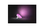 Настольная лампа Philips Hue Bloom, Color, BT, DIM, белая (929002375901)