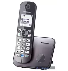 Телефон Dect Panasonic KX-TG6811UAM Metallic