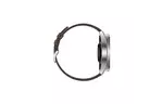 Смарт-часы Huawei Watch 3 Pro Classic Titanium (55026781)