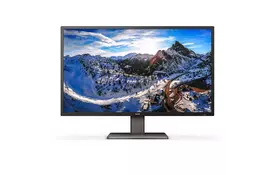 Монитор Philips 439P1 (439P1/00) - Фото