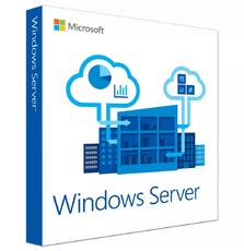 ПО для сервера Microsoft Windows Server Standard 2022 64Bit Русский OEM DVD 24 Core (P73-08355)