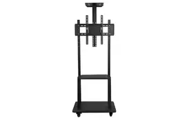 Устойчивая презентационная Charmount MC-2 - Фото