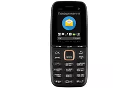 Мобильный телефон 2E S180 2021 без ЗУ Black Gold (688130243384) - Фото