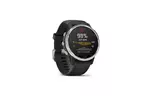Смарт-часы Garmin fenix 6S Solar, Silver w/Black Band (010-02409-00)