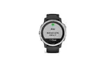 Смарт-часы Garmin fenix 6S Solar, Silver w/Black Band (010-02409-00)