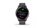Смарт-часы Garmin Venu 2S, Grey + Slate (010-02429-10)