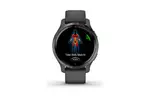 Смарт-часы Garmin Venu 2S, Grey + Slate (010-02429-10)