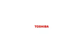 Тонер-картридж Toshiba T-2822E BLACK (6AJ00000249) - Фото