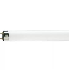 Лампочка Philips TL-D 30W/54-765 1SL/25 (928025405451)