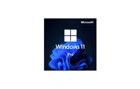 Операционная система Microsoft Win Pro 11 64-bit All Lng PK Lic Online DwnLd NR Конверт (FQC-10572-ESD) - Фото