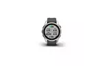 Смарт-часы Garmin fenix 7S Stainless Steel w/Graphite Band, GPS (010-02539-01)