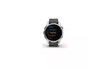 Смарт-часы Garmin fenix 7S Stainless Steel w/Graphite Band, GPS (010-02539-01)
