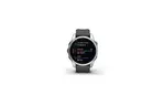 Смарт-часы Garmin fenix 7S Stainless Steel w/Graphite Band, GPS (010-02539-01)