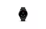 Смарт-часы Garmin Venu 2 Plus, Black + Slate, GPS (010-02496-11)