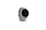 Смарт-часы Garmin Venu 2 Plus, Powder Gray + Passivated, GPS (010-02496-10)