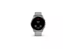 Смарт-часы Garmin Venu 2 Plus, Powder Gray + Passivated, GPS (010-02496-10)