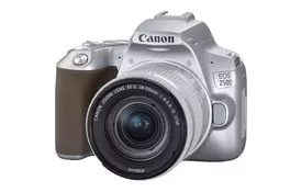 Цифровой фотоаппарат Canon EOS 250D kit 18-55 IS STM Silver (3461C003) - Фото