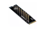 Накопитель SSD M.2 2280 1TB SPATIUM M450 MSI (S78-440L690-P83)