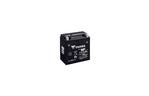 Аккумулятор автомобильный Yuasa 12V 14,7Ah MF VRLA Battery (YTX16-BS)