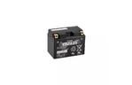 Аккумулятор автомобильный Yuasa 12V 11,6Ah High Performance MF VRLA Battery (YTZ12S)