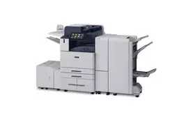 Xerox Многофункциональное устройство А3 монохромное AL_B8155 - Фото
