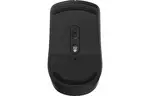 Мышка Rapoo M20 Plus Wireless Black (M20 Plus Black)