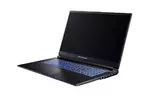 Dream Machines Ноутбук RG3050-17 17.3FHD IPS 144Hz/Intel i7-12700H/16/500F/NVD3050-4/DOS