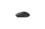 Мышка A4Tech FB10CS Wireless/Bluetooth Stone Black (FB10CS Stone Black)
