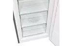 Gorenje Морозильная камера FN619EES5