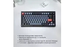 Клавиатура Keychron V1 84 Key QMK Gateron G PRO Red Hot-Swap RGB Knob Frosted Black (V1C1_KEYCHRON)