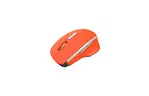 Мышь Canyon MW-21 Wireless Blue LED Red (CNS-CMSW21R)