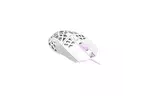 Мышь Canyon Puncher GM-20 USB White (CND-SGM20W)