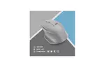 Мышка 2E MF280 Silent Wireless/Bluetooth Gray (2E-MF280WGR)