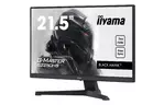 Монитор iiyama G2250HS-B1