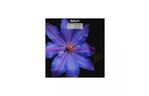 Весы напольные Saturn ST-PS0287