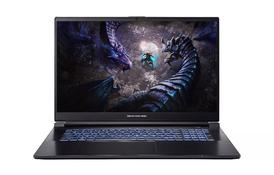 Dream Machines Ноутбук G1650-17 17.3FHD IPS, Intel i5-13500H, 16GB, F1TB, NVD1650-4, DOS, чорний - Фото