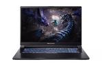 Dream Machines Ноутбук G1650-17 17.3FHD IPS, Intel i5-13500H, 32GB, F1TB, NVD1650-4, DOS, черный