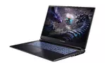 Dream Machines Ноутбук G1650-17 17.3FHD IPS, Intel i7-13700H, 16GB, F1TB, NVD1650-4, DOS, черный