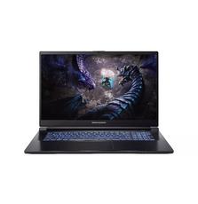 Dream Machines Ноутбук G1650-17 17.3FHD IPS, Intel i7-13700H, 16GB, F1TB, NVD1650-4, DOS, черный