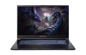 Dream Machines Ноутбук G1650-17 17.3FHD IPS, Intel i7-13700H, 16GB, F1TB, NVD1650-4, DOS, чорний - Фото